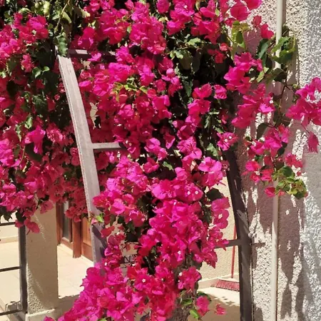 شقة Sea Breeze Maisonette لارنكا