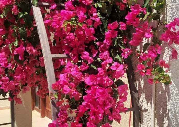 דירה Sea Breeze Maisonette לרנקה